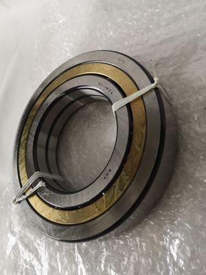 3L1824 Ekskavatör Yatağı